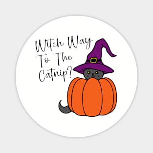 Witch Way to the Catnip? Magnet